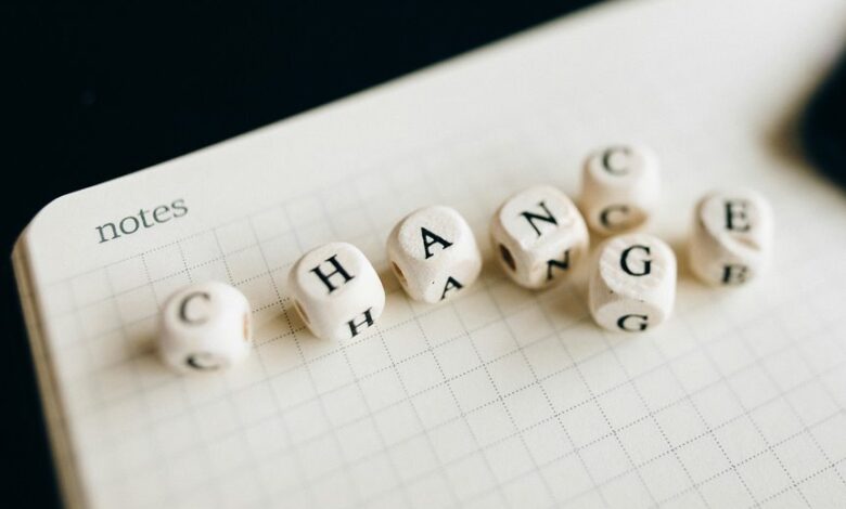 change leadership framework overview
