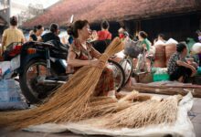 market differentiation strategies development