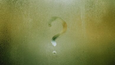 deciphering alphanumeric code meaning