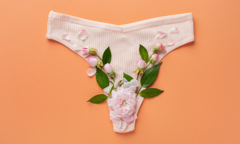 Eco-Friendly and Comfortable: The Rise of Disposable Period Panties for Women