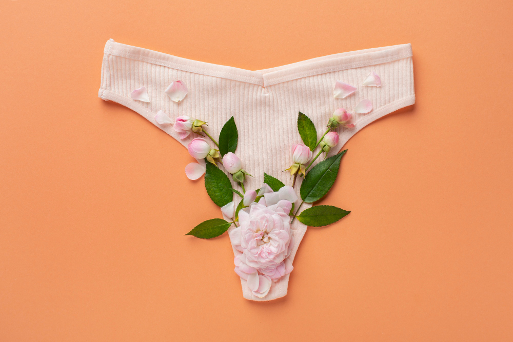 Eco-Friendly and Comfortable: The Rise of Disposable Period Panties for Women