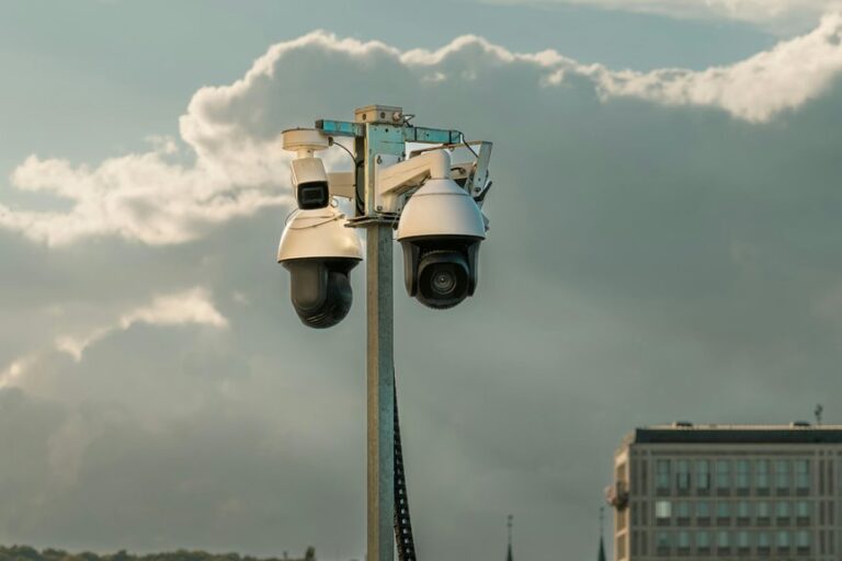 digital network oversight bureau