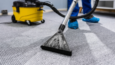 How Professional Carpet Cleaning in North Shore Improves Indoor Air Quality?
