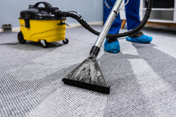 How Professional Carpet Cleaning in North Shore Improves Indoor Air Quality?