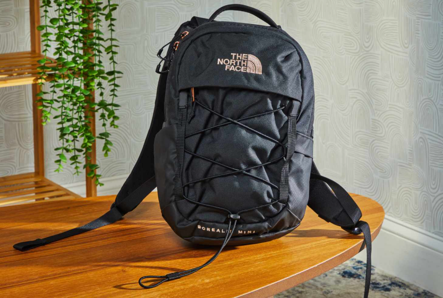 Choosing the Ideal Mini Backpack