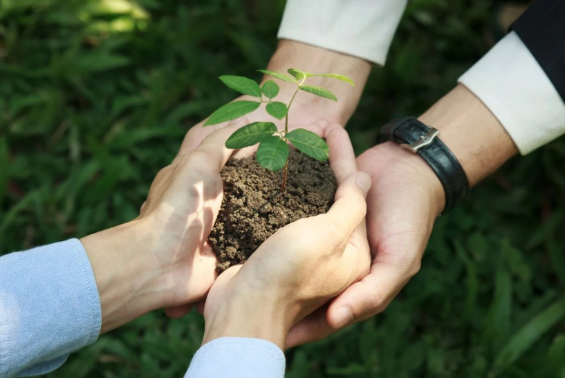 Best Practices for Sustainable Crop Cultivation