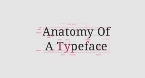 How Understanding and Using the Concept of Font Helps Designers and Why It Matters