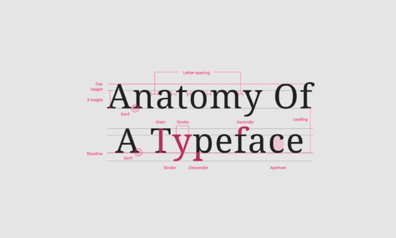 How Understanding and Using the Concept of Font Helps Designers and Why It Matters