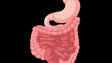 How to Stay on Top of Your Digestive Health After 50?