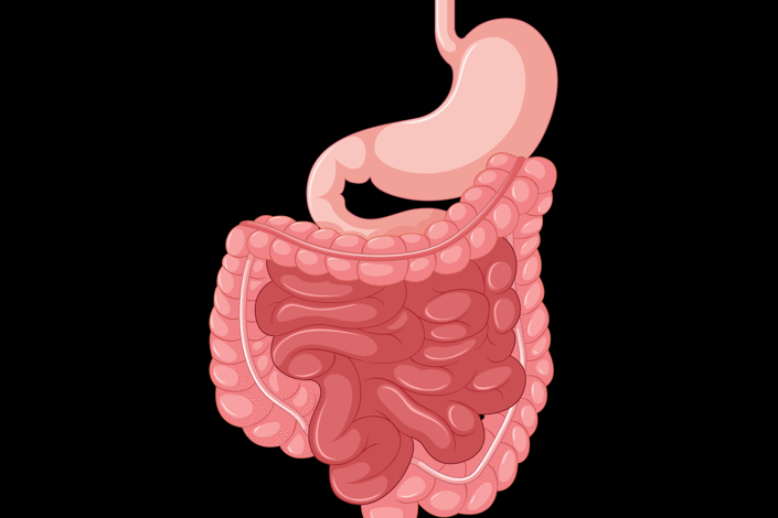 How to Stay on Top of Your Digestive Health After 50?