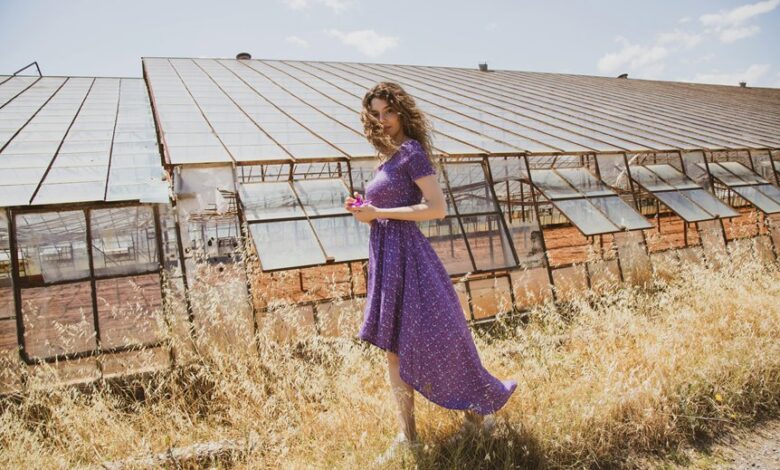 industry snapshot with codes