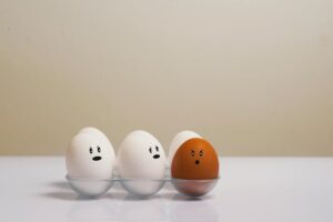 barwala egg rate updates