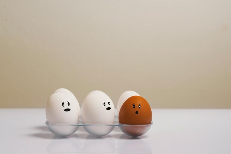 barwala egg rate updates