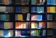 educational services in punjab