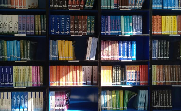 educational services in punjab