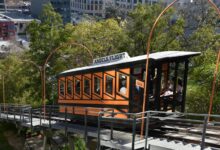 elevate your online marketing