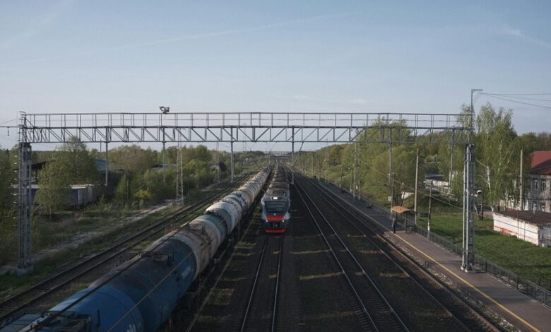 growth development online platform