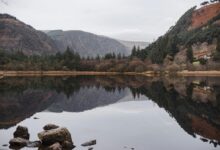 irish mirror news source