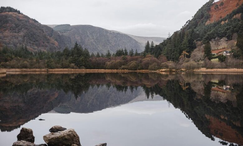 irish mirror news source