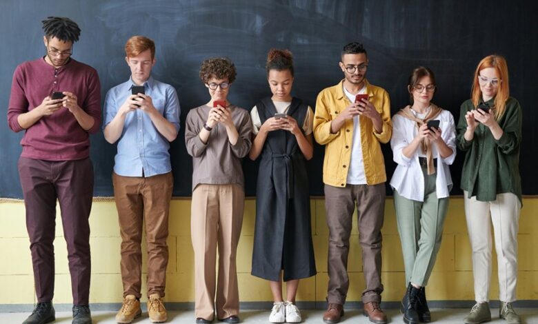 punjab educare mobile application