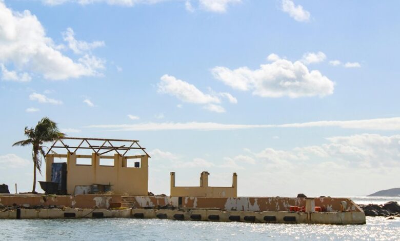 recover telegram account assistance