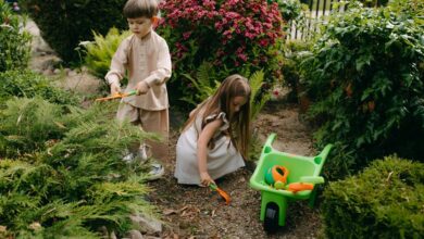 growth tools development today