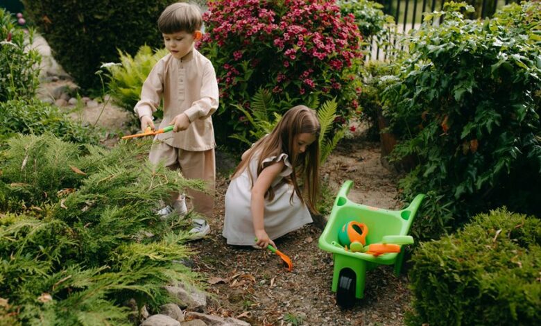 growth tools development today