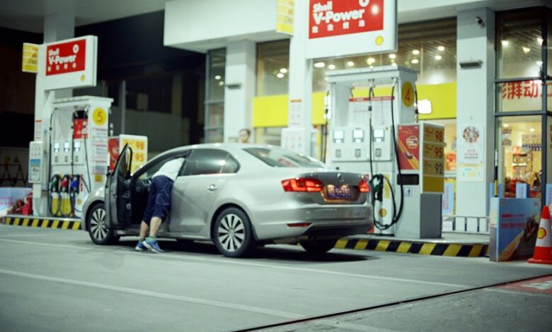 cosmic prism and animal movie