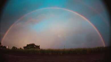 horizon arc start contact driving caller verification power