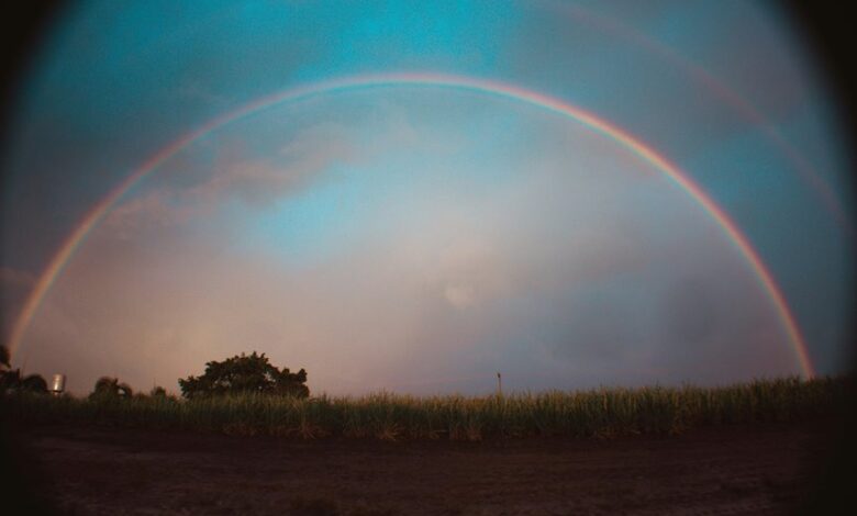 horizon arc start contact driving caller verification power