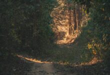 horizon gateway caller routing paths