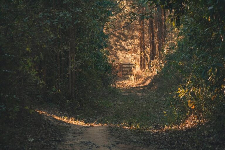 horizon gateway caller routing paths