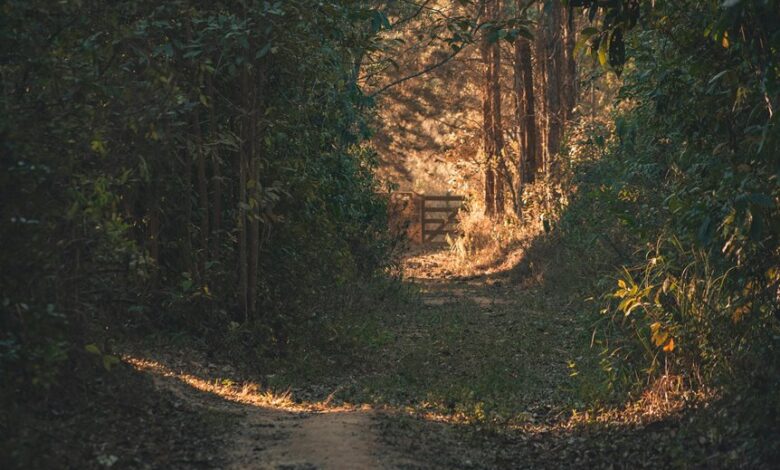 horizon gateway caller routing paths