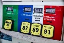 radiant prism contact number insight