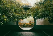 stellar gateway start ignition