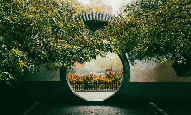 stellar gateway start ignition