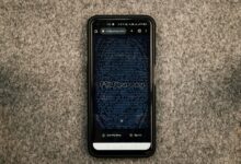 velocity arc start 253 372 2169